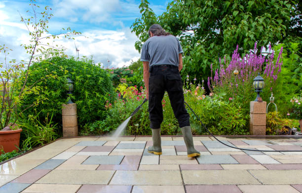 Best Animal Enclosure Cleaning  in Fox Lake Hls, IL